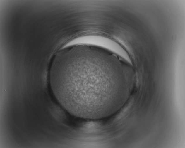 X0000088860111200706151743