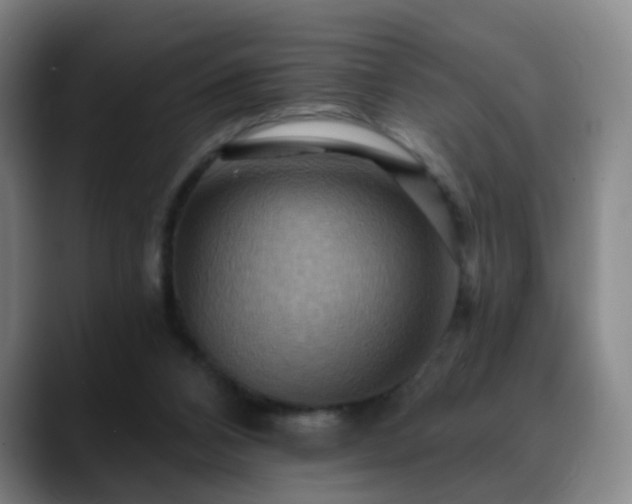 X0000088860112200706151743