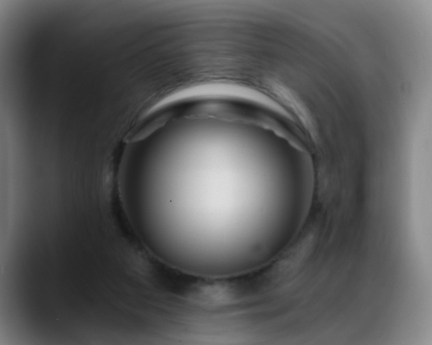 X0000088860113200706151743