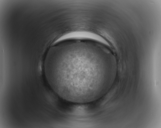 X0000088860115200706151742