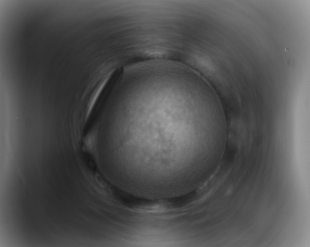 X0000088860116200706151742