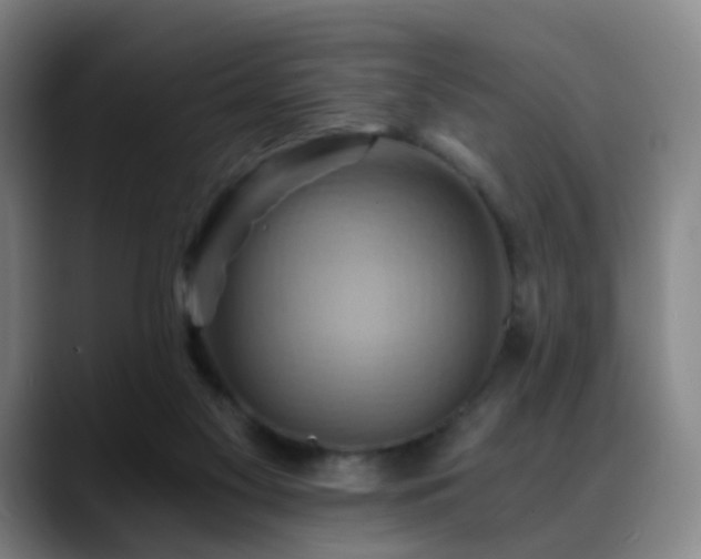 X0000088860117200706151742