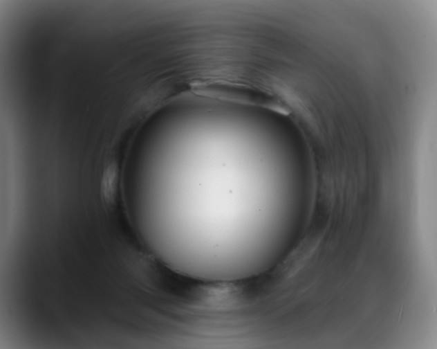 X0000088860118200706151742