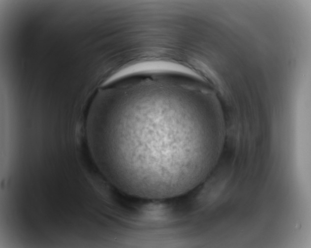 X0000088860119200706151742