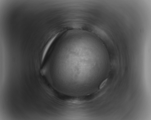 X0000088860120200706151742