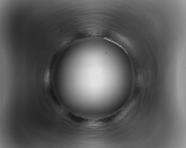 X0000088860121200706151742