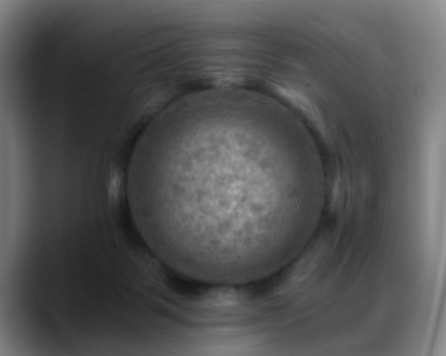 X0000088860123200706151742