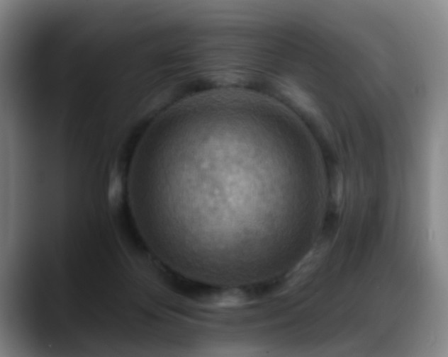 X0000088860124200706151742