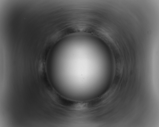 X0000088860126200706151742