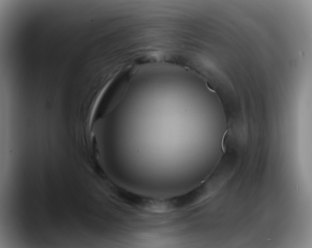 X0000088860127200706151742