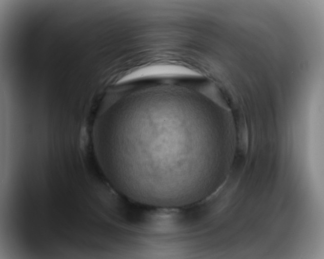 X0000088860128200706151742