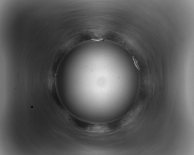 X0000088860129200706151742