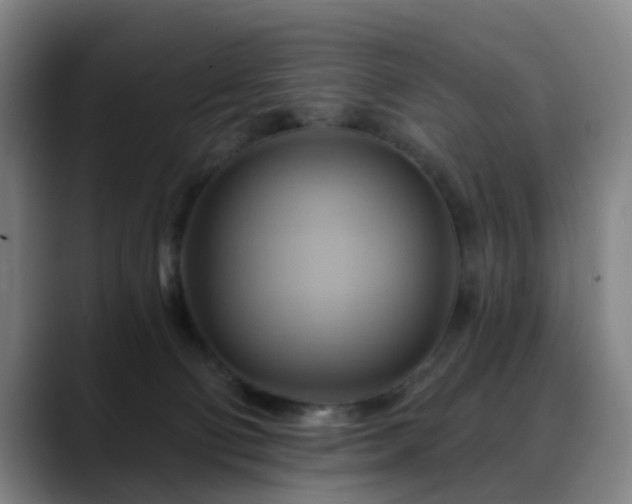 X0000088860130200706151742