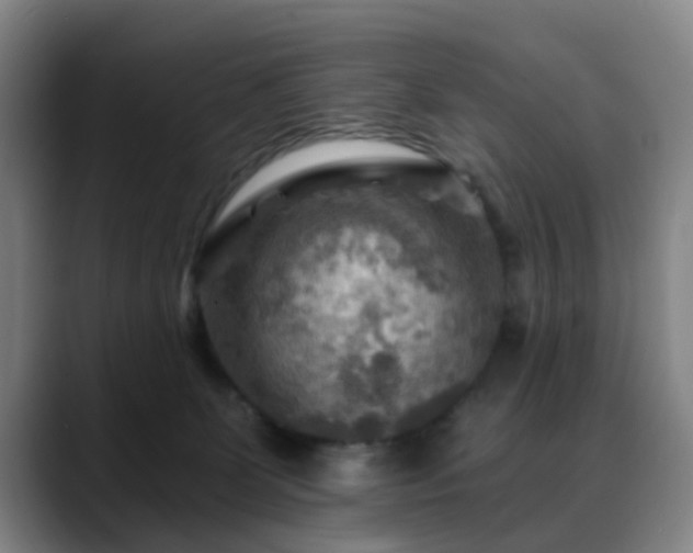 X0000088860131200706151742