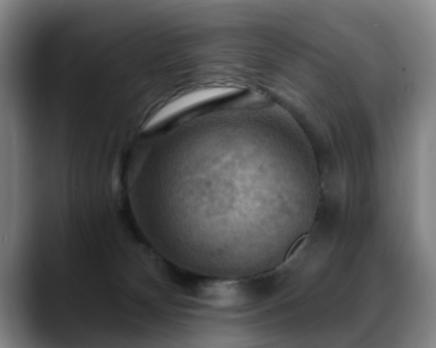 X0000088860132200706151742