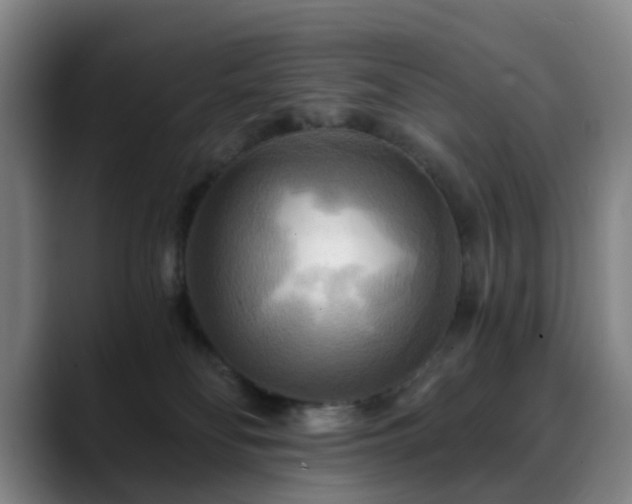 X0000088860134200706151742