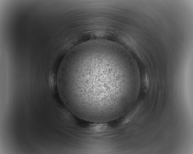 X0000088860135200706151742