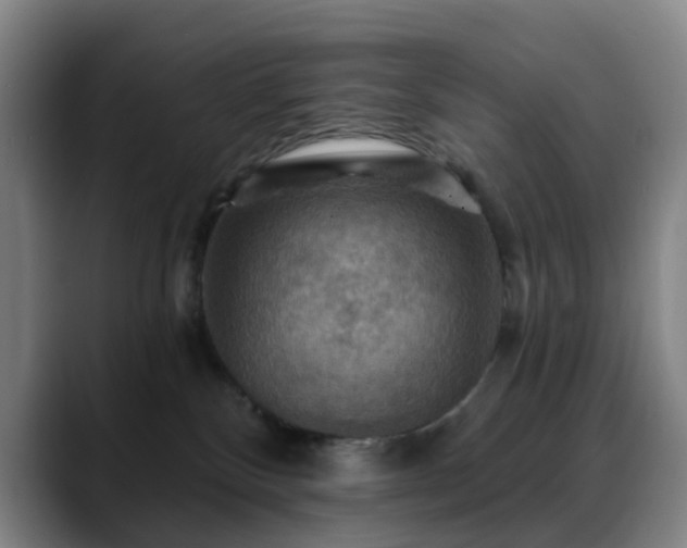 X0000088860136200706151742