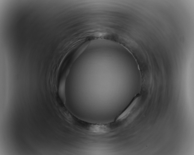 X0000088860137200706151742