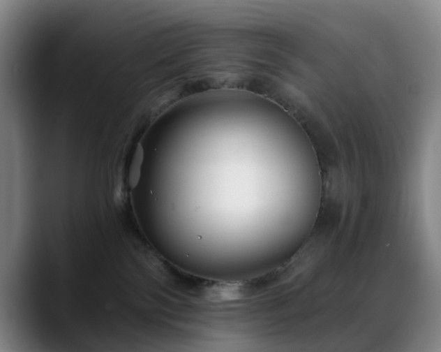 X0000088860138200706151742