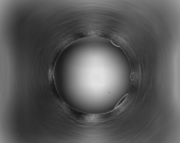 X0000088860142200706151742