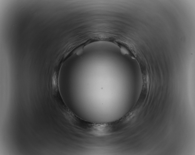 X0000088860143200706151742