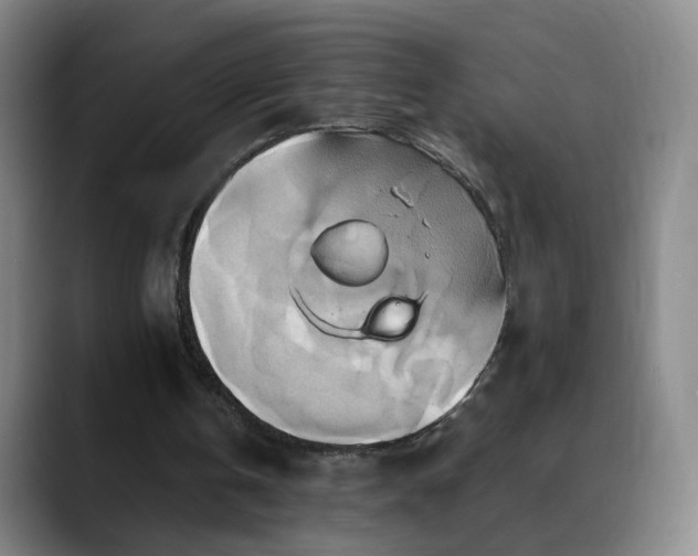 X0000088860146200706151742