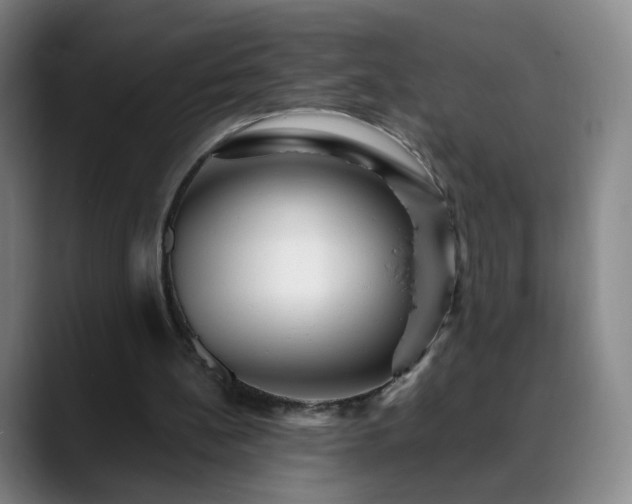 X0000088860148200706151742