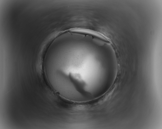 X0000088860149200706151742