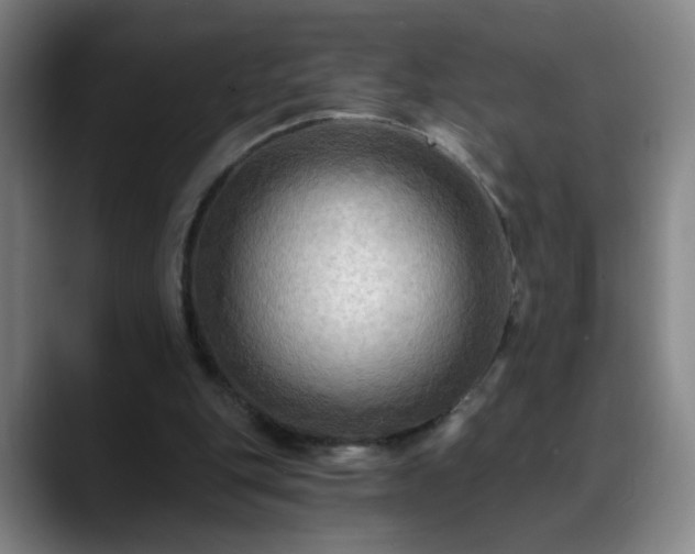 X0000088860151200706151742