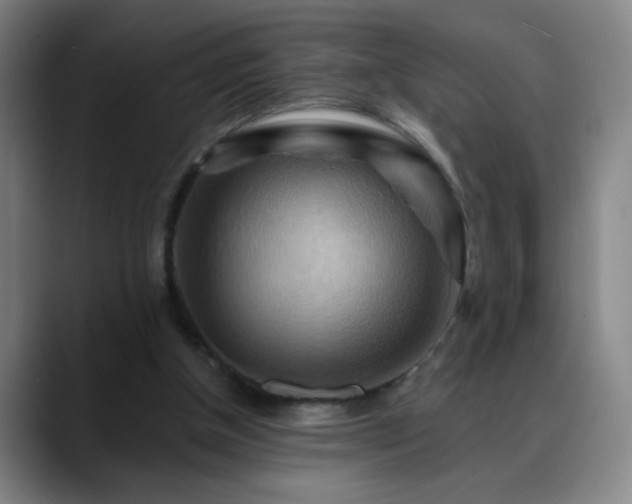 X0000088860154200706151742