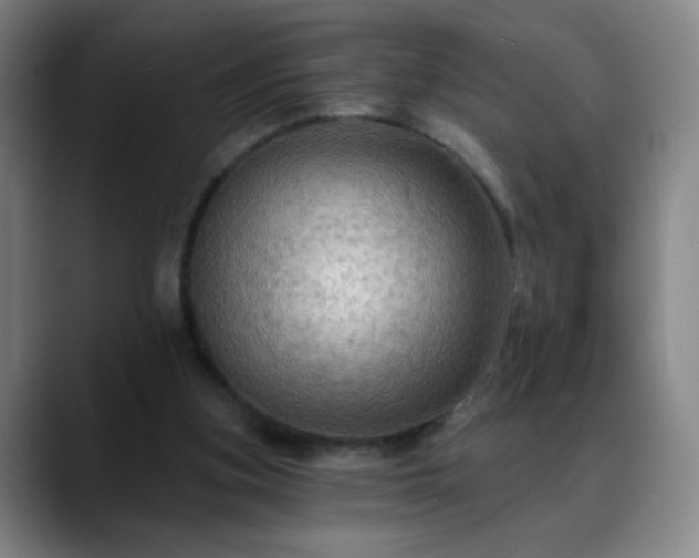 X0000088860155200706151742