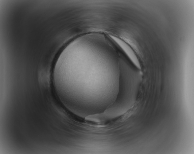 X0000088860156200706151742