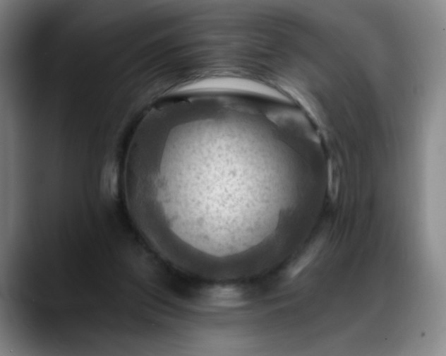 X0000088860157200706151742