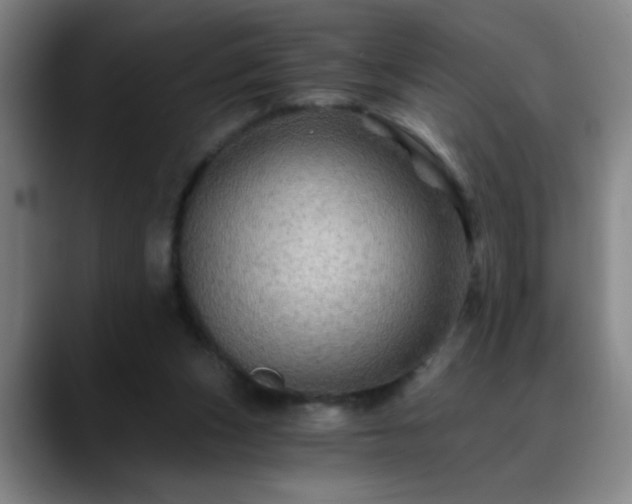 X0000088860159200706151742