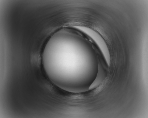 X0000088860160200706151742