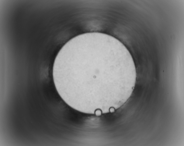 X0000088860162200706151742