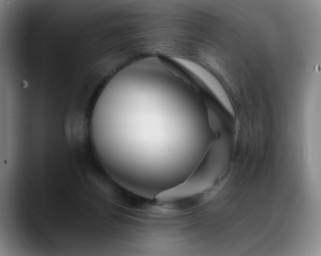 X0000088860164200706151742