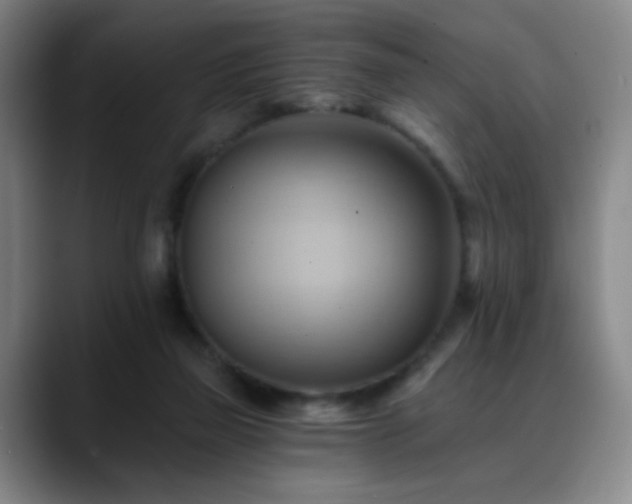 X0000088860165200706151742