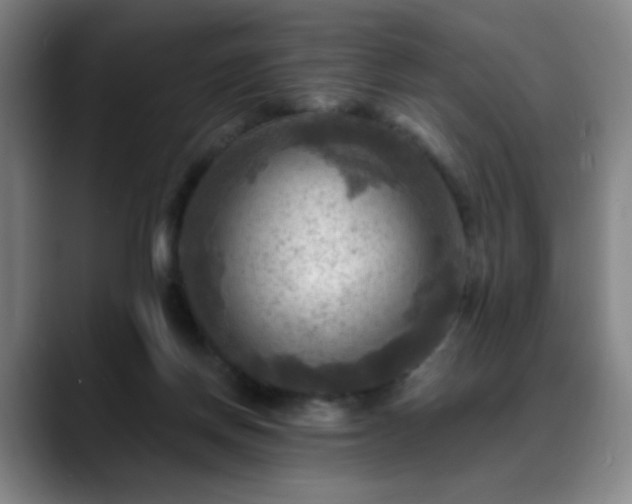 X0000088860166200706151742