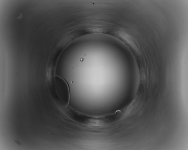 X0000088860167200706151742