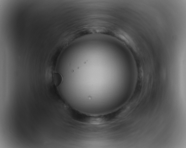 X0000088860169200706151742