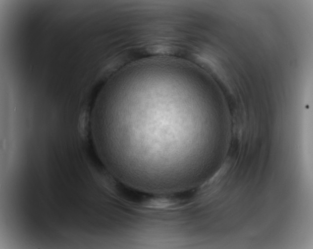 X0000088860171200706151742