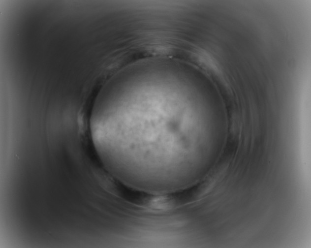 X0000088860173200706151742