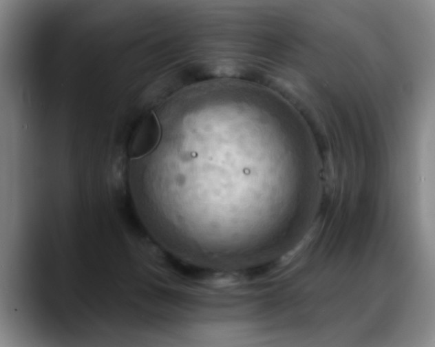 X0000088860175200706151742