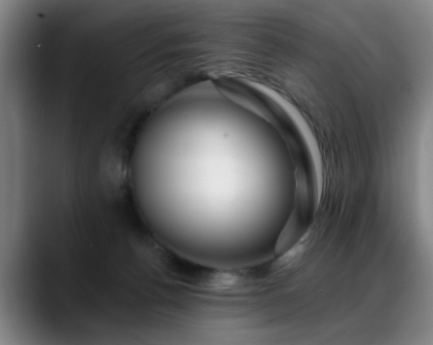 X0000088860176200706151742