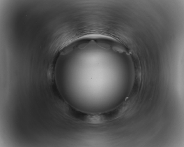 X0000088860181200706151742