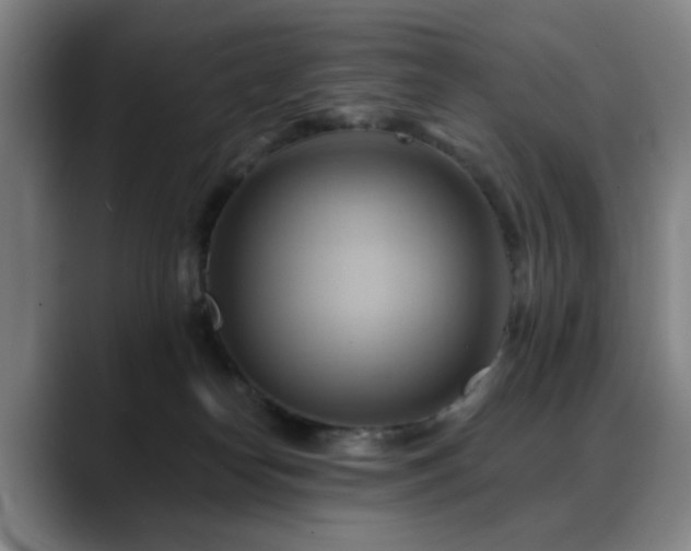 X0000088860182200706151742