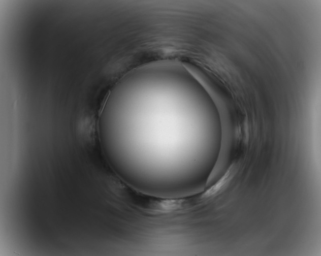 X0000088860184200706151742