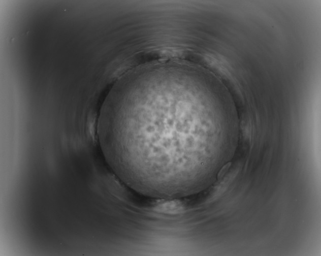 X0000088860185200706151742